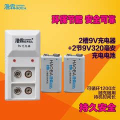 浩霸9v充电电池套装9v电池充电器麦克风无线话筒万用表6F22电池