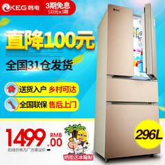 KEG/韩电 BCD-296CP4D 多门冰箱296升 对开电冰箱 四门冰箱一级