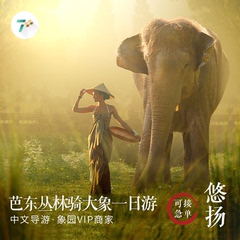 七加旅行 芭东丛林骑大象ATV 普吉岛半日游一日游 骑大象包接送